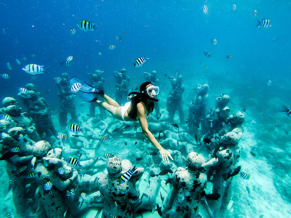 Buceo sin certificación — Museo Subacuático (MUSA)