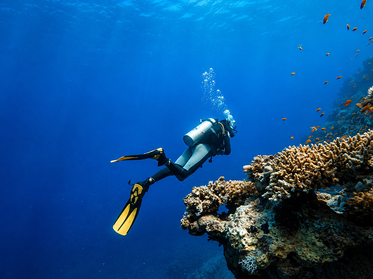 Buceo en Fin de la Tierra y El Arco