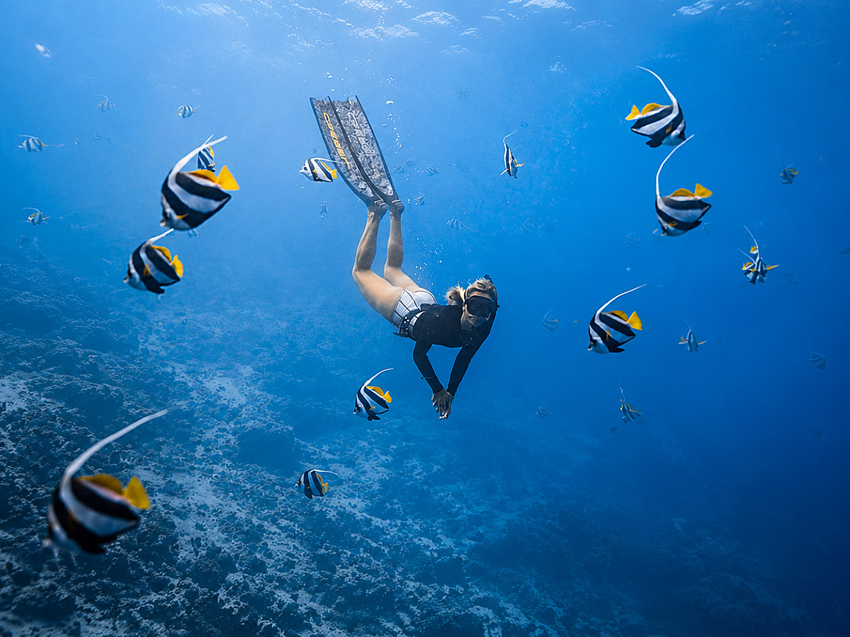 Experiencia de Snorkel en Bahía Chileno