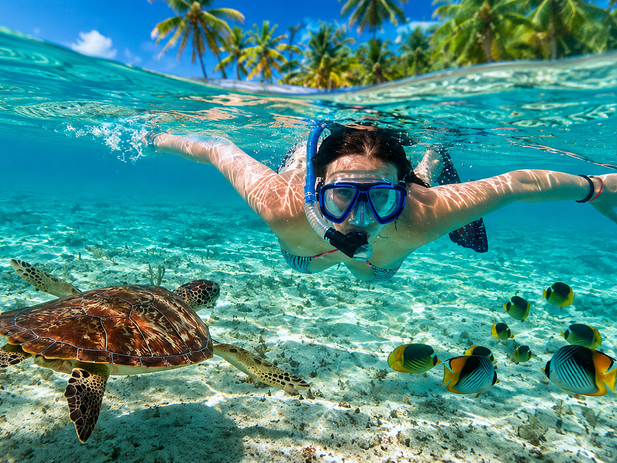 Snorkel Express en Parque Nacional 