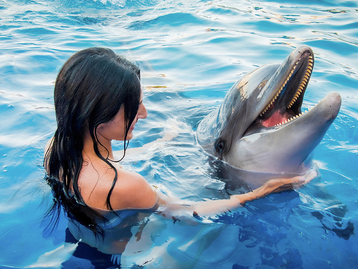 Entre Delfines