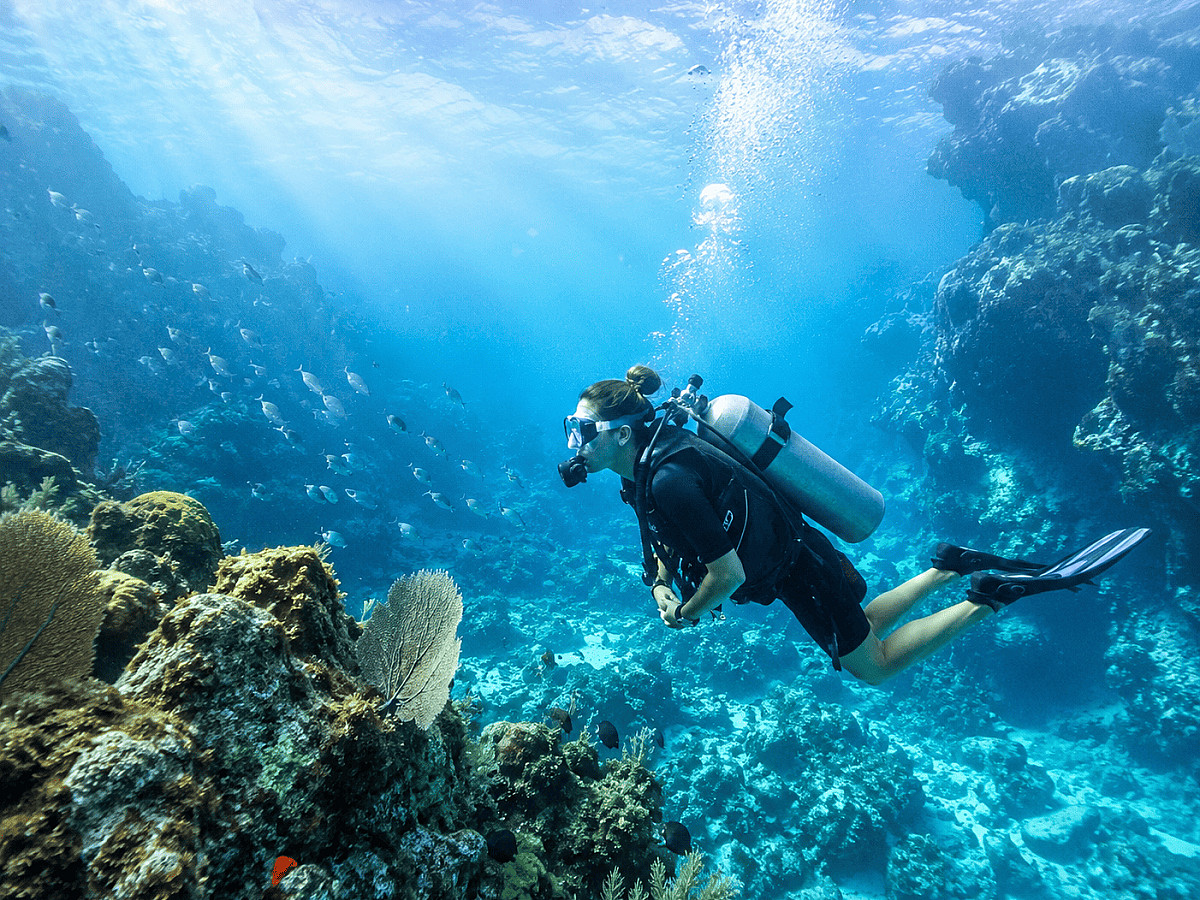 Buceo Tolok — Certificación PADI / SSI Open Water