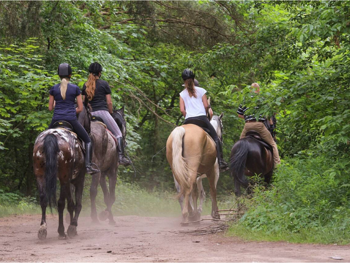 Horse Riding Amazing Combo
