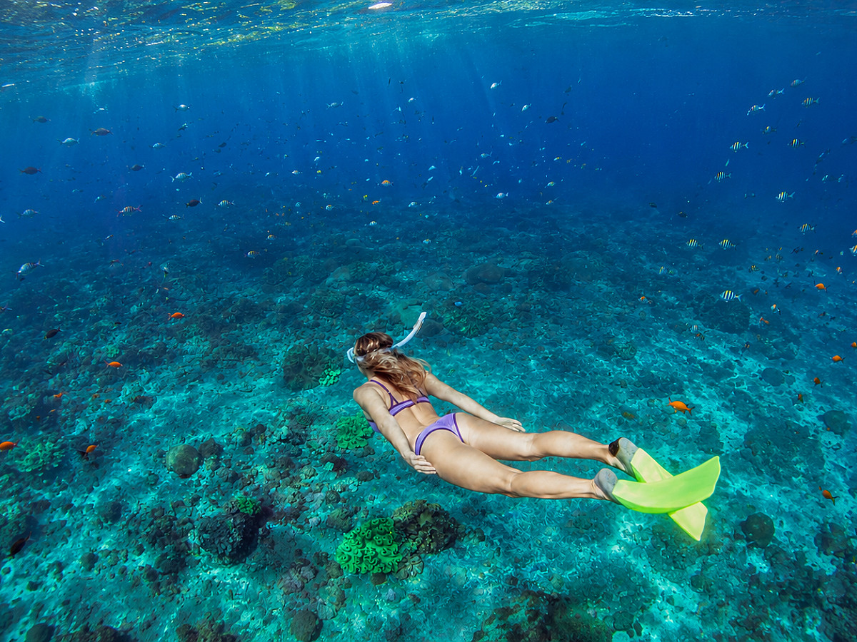 Snorkel en MUSA