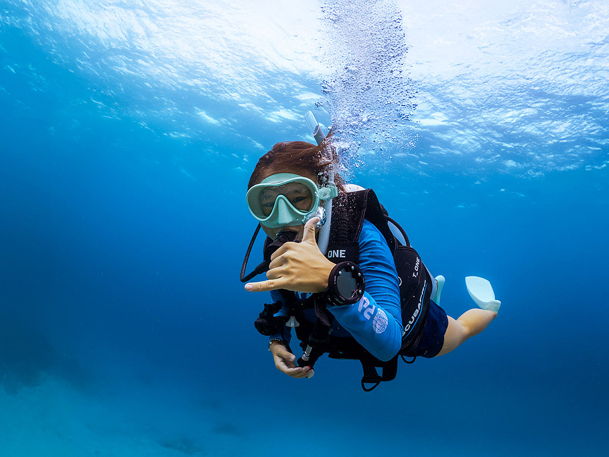 Beginner Discovery | No se requiere certificación de buceo