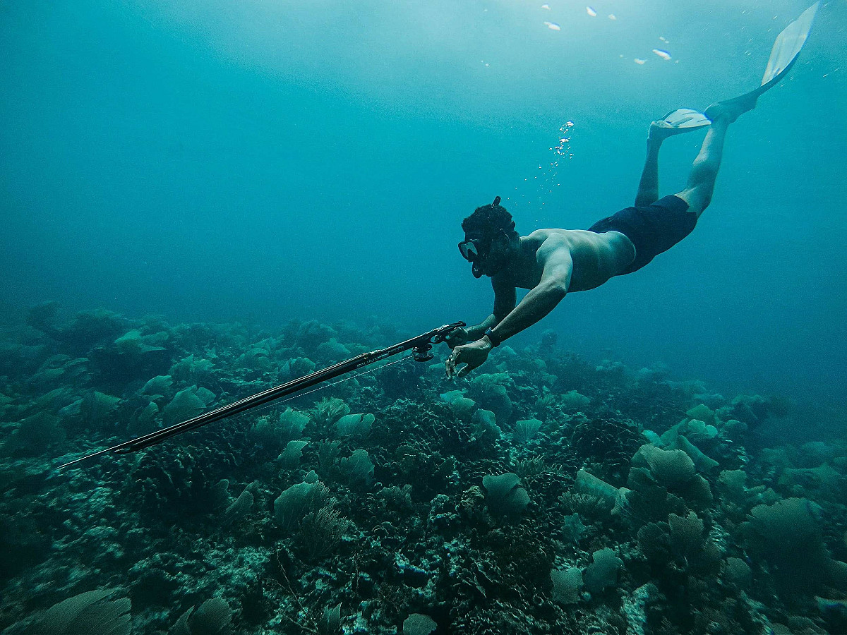 Pesca Submarina en Apnea