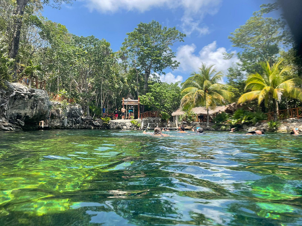 Casa Tortuga Platinum 1