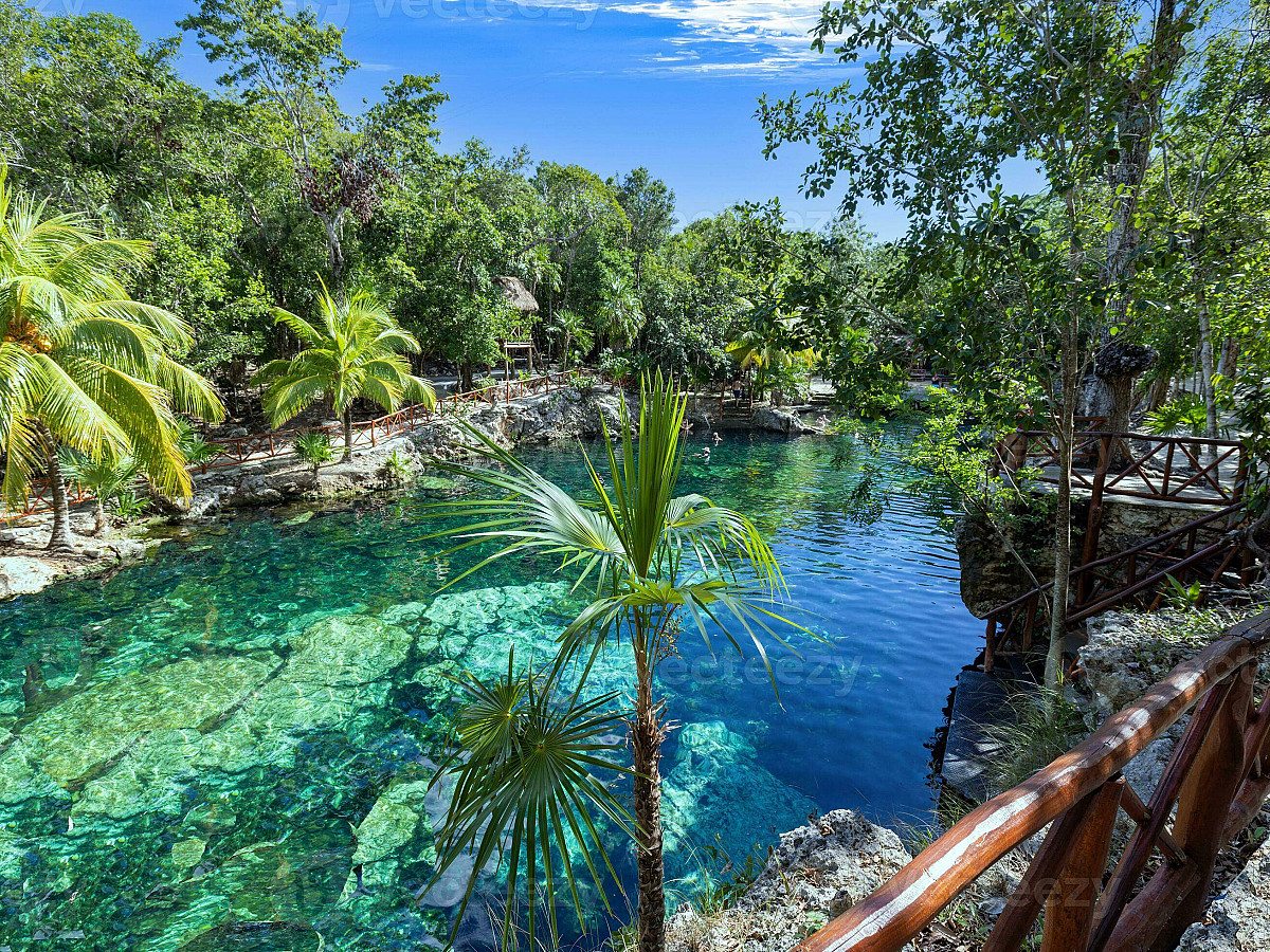 Casa Tortuga Platinum 2