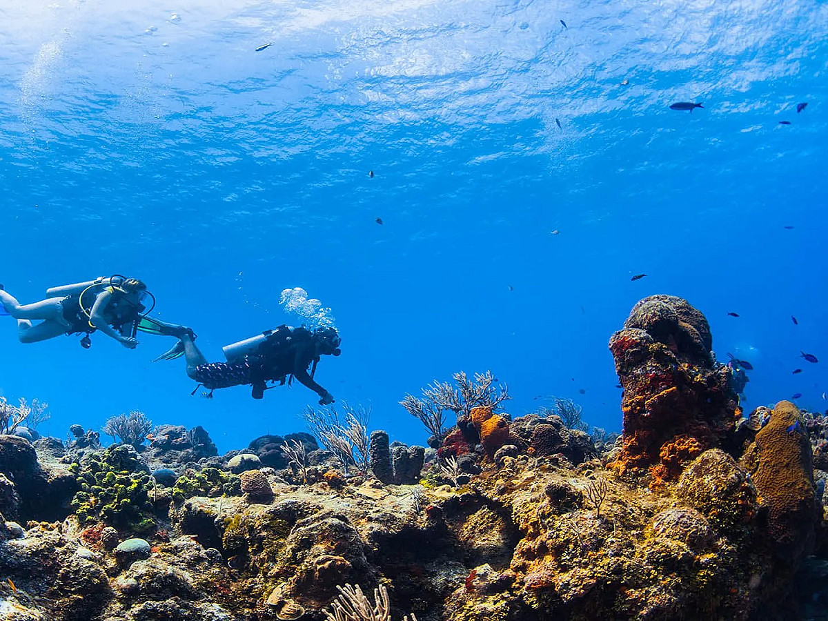 Buceo en Aguas Abiertas (Arrecifes)