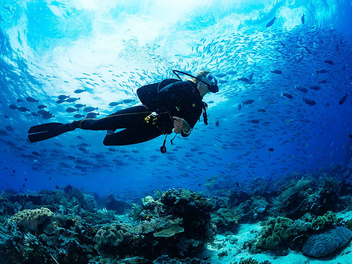 Buceo para Principiantes